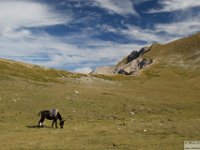 2026-10-17 Monte Velino 179